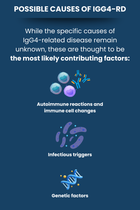 Possible causes of IgG4-RD