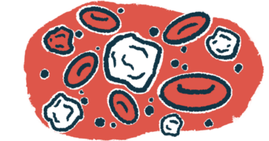White blood cells intersperse with red blood cells.