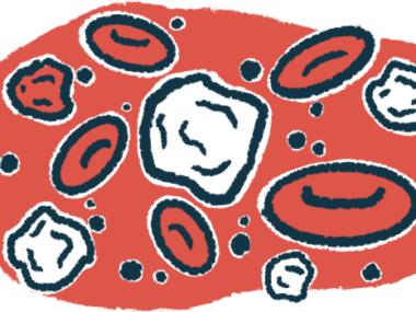 White blood cells are seen interspersed with red blood cells. in this illustration.