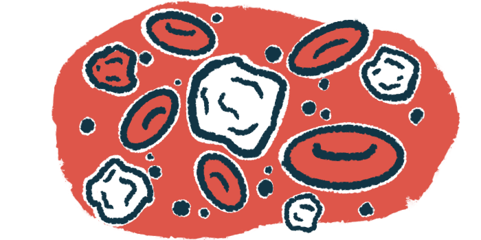 White blood cells intersperse with red blood cells.