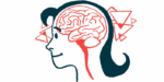 A brain and brain stem are shown in profile.