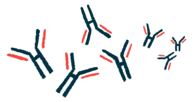 An illustration shows antibodies.