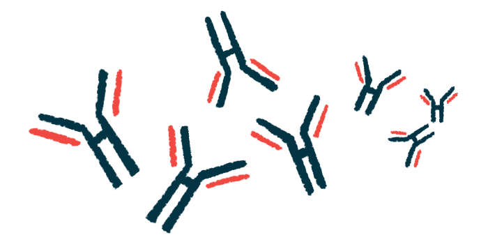 An illustration shows antibodies.