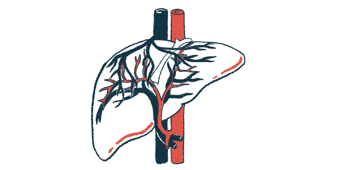 llustration of the liver showing the branching bile ducts that carry bile from the liver to the digestive system.